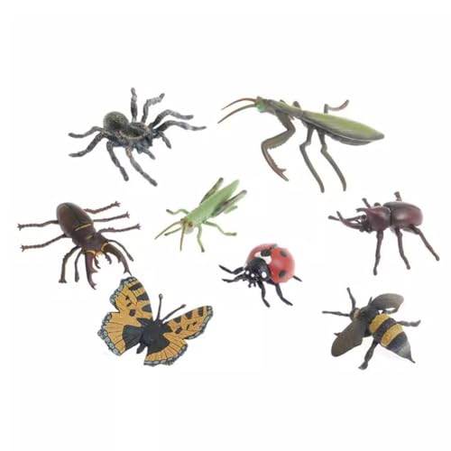 LLTCMYGS Montessori Insekten Tiermodellspielzeug, Spielzeug für die frühe Sprachbildung, Kognitive Insekten LLTCMYGS Montessori Insekten Tiermodellspielzeug, Spielzeug für die frühe Sprachbildung, Kognitive Insekten von LLTCMYGS