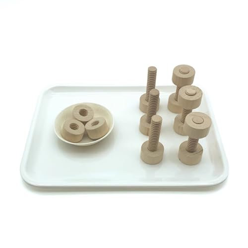 LLTCMYGS Montessori Kinderschrauben-Set, Schraube und Mutter passend zu Lehrmitteln (mit Tablett),Plastic Tray Set von LLTCMYGS
