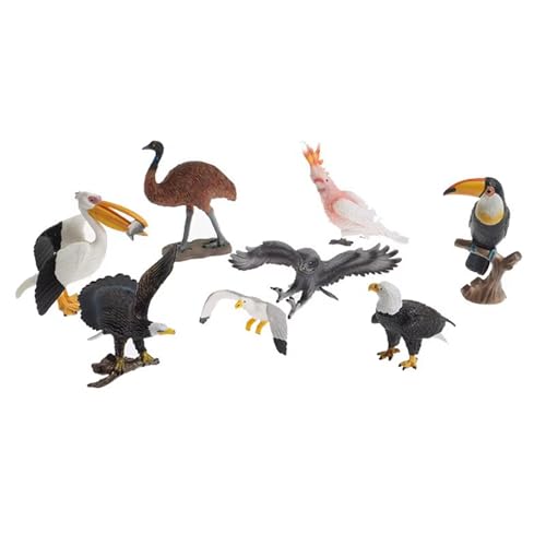 LLTCMYGS Montessori Kunststoff Vogel Modell Spielzeug, realistische Tier Replik Modelle Spielzeug Figuren Lernset von LLTCMYGS