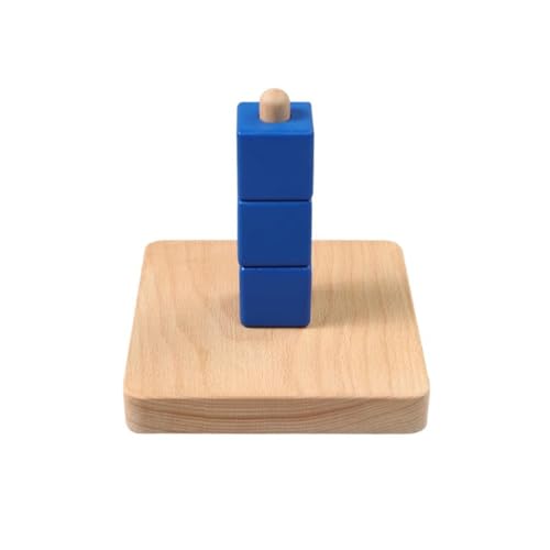 LLTCMYGS Montessori Lehrmittel Lernspielzeug, Montessori Level Ring, Würfel auf vertikalem Dübel,Model c LLTCMYGS Montessori Lehrmittel Lernspielzeug, Montessori Level Ring, Würfel auf vertikalem Dübel,Model c von LLTCMYGS