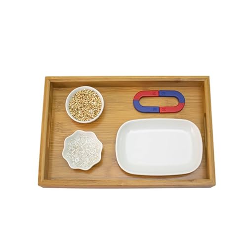 LLTCMYGS Montessori Magnet AIDS Set, Hand-Auge-Koordination Magnet Kindergarten Früherziehung Puzzle,Set and Tray von LLTCMYGS