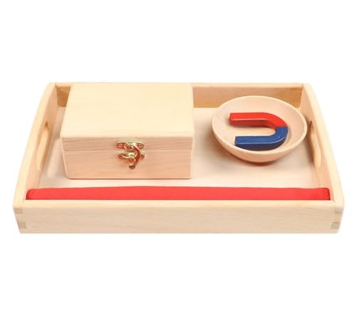 LLTCMYGS Montessori Magnet Wissenschaft und Kultur Lehrmittelset, Holztablett und Magnet Lehrmittel LLTCMYGS Montessori Magnet Wissenschaft und Kultur Lehrmittelset, Holztablett und Magnet Lehrmittel von LLTCMYGS