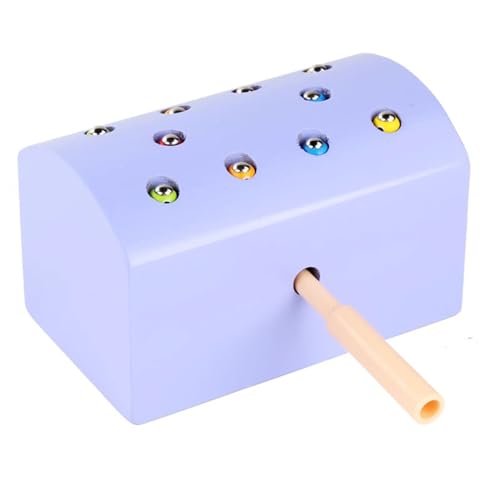 LLTCMYGS Montessori Magnetisches Insektenfangspielzeug, Feinmotoriktraining für Kinder im Vorschulalter,Lila von LLTCMYGS
