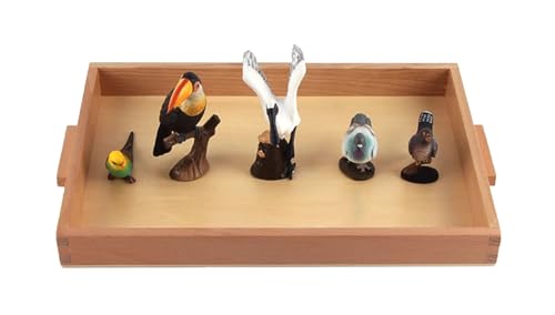 LLTCMYGS Montessori Mini Tiermodell Set, Kinder Simulation Tier Lehrmittel,Animal b LLTCMYGS Montessori Mini Tiermodell Set, Kinder Simulation Tier Lehrmittel,Animal b von LLTCMYGS