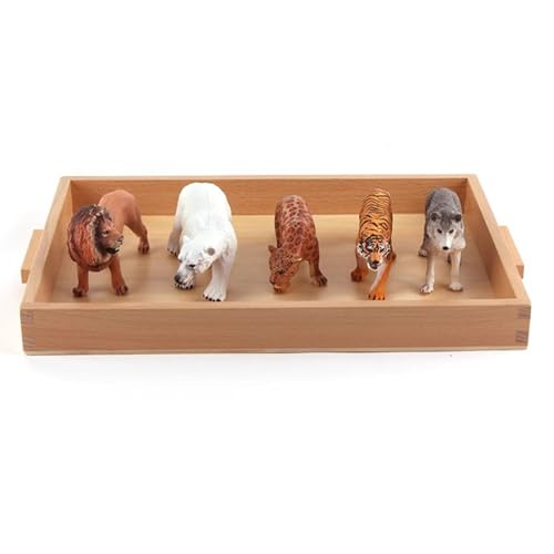LLTCMYGS Montessori Mini Tiermodell Set, Kinder Simulation Tier Lehrmittel,Animal c von LLTCMYGS