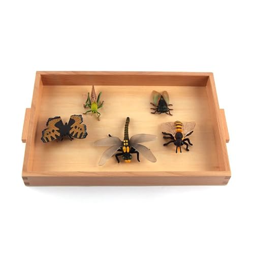 LLTCMYGS Montessori Mini Tiermodell Set, Kinder Simulation Tier Lehrmittel,Animal f LLTCMYGS Montessori Mini Tiermodell Set, Kinder Simulation Tier Lehrmittel,Animal f von LLTCMYGS