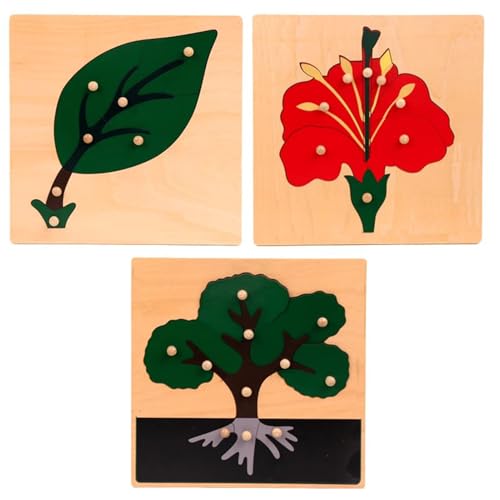LLTCMYGS Montessori Pflanze Holzplatte Puzzle Set, Frühkindliche Bildung Puzzle (3 Teile) von LLTCMYGS