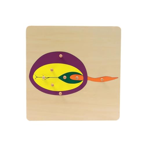 LLTCMYGS Montessori Pflanze Samen Panel Puzzle, Kinder Holz Brett Puzzle Spielzeug, EIN Geschenk für Kinder LLTCMYGS Montessori Pflanze Samen Panel Puzzle, Kinder Holz Brett Puzzle Spielzeug, EIN Geschenk für Kinder von LLTCMYGS