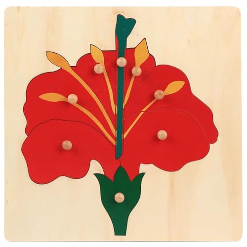 LLTCMYGS Montessori Pflanzenknopf Puzzle, Holzpflanzenpaneel Spielzeug,Flowers LLTCMYGS Montessori Pflanzenknopf Puzzle, Holzpflanzenpaneel Spielzeug,Flowers von LLTCMYGS