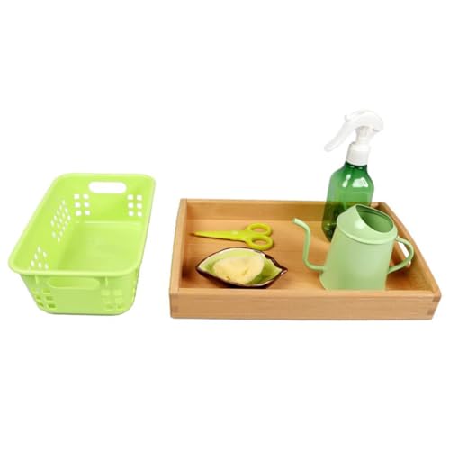 LLTCMYGS Montessori Pflanzenpflege Bewässerungsset, Gartengeräte und Spielzeug für Kinder, praktische Beobachtungsgabe LLTCMYGS Montessori Pflanzenpflege Bewässerungsset, Gartengeräte und Spielzeug für Kinder, praktische Beobachtungsgabe von LLTCMYGS