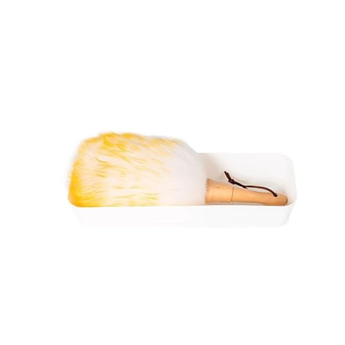 LLTCMYGS Montessori Staubentfernungstools, saubere Staubentferner und Haushaltsutensilien LLTCMYGS Montessori Staubentfernungstools, saubere Staubentferner und Haushaltsutensilien von LLTCMYGS