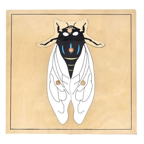 LLTCMYGS Montessori Tier- und Pflanzenpuzzle Lehrmittel, wissenschaftliches Spielzeug zum Verständnis von Tieren und Pflanzen,Cicadas LLTCMYGS Montessori Tier- und Pflanzenpuzzle Lehrmittel, wissenschaftliches Spielzeug zum Verständnis von Tieren und Pflanzen,Cicadas von LLTCMYGS