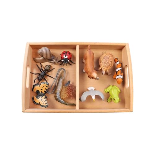 LLTCMYGS Montessori Tiermodellfigur Klassifikationsset, Sprachkognition Unterricht AIDS LLTCMYGS Montessori Tiermodellfigur Klassifikationsset, Sprachkognition Unterricht AIDS von LLTCMYGS