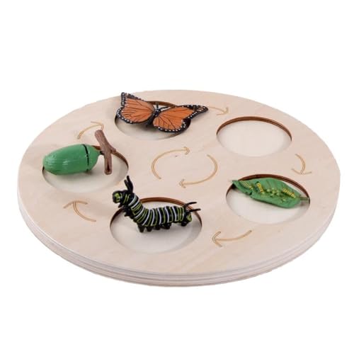LLTCMYGS Montessori Tierwachstumszyklus Scheibe, Tierwachstumsprozess Puzzle Scheibe,Butterfly von LLTCMYGS