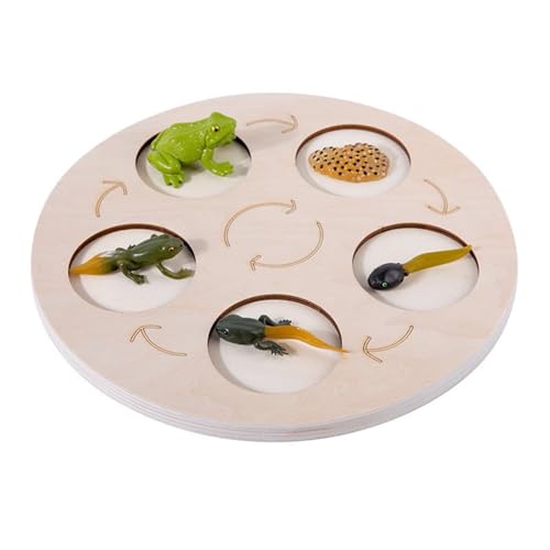 LLTCMYGS Montessori Tierwachstumszyklus Scheibe, Tierwachstumsprozess Puzzle Scheibe,Frog LLTCMYGS Montessori Tierwachstumszyklus Scheibe, Tierwachstumsprozess Puzzle Scheibe,Frog von LLTCMYGS