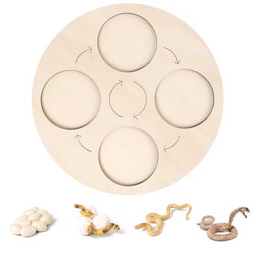 LLTCMYGS Montessori Tierwachstumszyklus Scheibe, Tierwachstumsprozess Puzzle Scheibe,Snake LLTCMYGS Montessori Tierwachstumszyklus Scheibe, Tierwachstumsprozess Puzzle Scheibe,Snake von LLTCMYGS