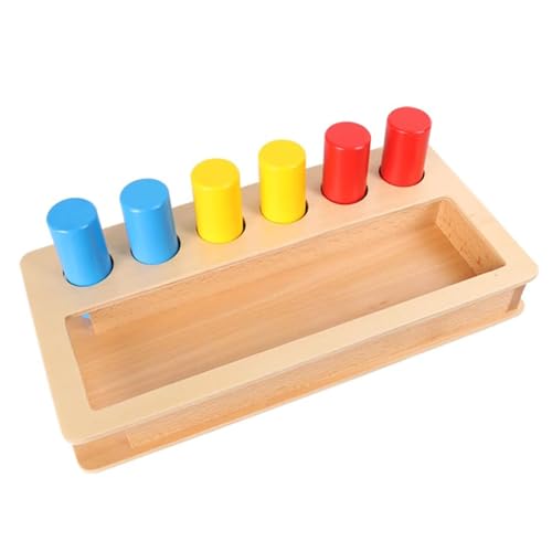 LLTCMYGS Montessori Tricolor zylindrisches Kastenspielzeug, sensorisches Spielzeug zur Farberkennung im Vorschulalter von LLTCMYGS