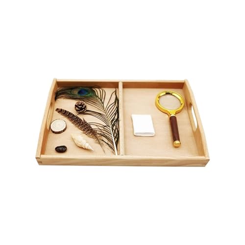 LLTCMYGS Montessori-Vergrößerungsglas zur Beobachtung von Gegenständen, das die Konzentration von Kindern fördert von LLTCMYGS