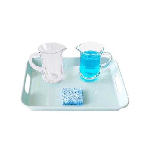 LLTCMYGS Montessori Wasser-Einschenken Set, Grundlegende tägliche Wasserbewegungsübung, sensorisches Lehrmittel von LLTCMYGS