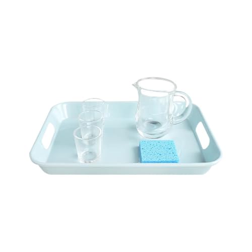 LLTCMYGS Montessori Wassergießen Action Work Lehrmittel-Set, sensorische Lehrmittel und Werkzeuge LLTCMYGS Montessori Wassergießen Action Work Lehrmittel-Set, sensorische Lehrmittel und Werkzeuge von LLTCMYGS