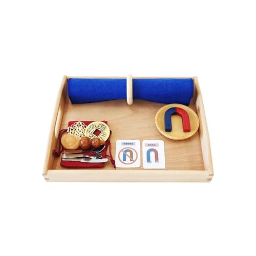 LLTCMYGS Montessori Wissenschaft Magnet Set Spielzeuge, Wissenschafts- und Kultur-Experimentspielzeuge von LLTCMYGS