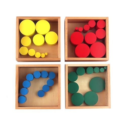 LLTCMYGS Montessori-Zylinder Kinder Holzspielzeug, sensorisches Spielzeug für die frühkindliche Entwicklung von LLTCMYGS