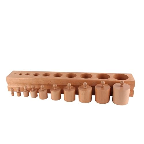 LLTCMYGS Montessori Zylinderfassung Sensorische Lehrmittel, Buche Holz zylindrische Bausteine,Cylinder Type a LLTCMYGS Montessori Zylinderfassung Sensorische Lehrmittel, Buche Holz zylindrische Bausteine,Cylinder Type a von LLTCMYGS