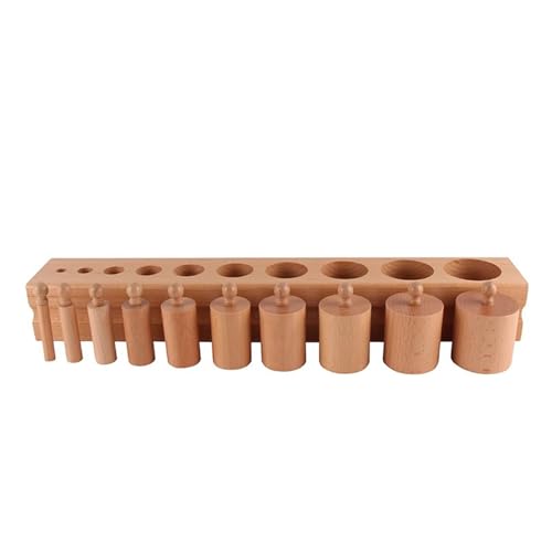 LLTCMYGS Montessori Zylinderfassung Sensorische Lehrmittel, Buche Holz zylindrische Bausteine,Cylinder Type b LLTCMYGS Montessori Zylinderfassung Sensorische Lehrmittel, Buche Holz zylindrische Bausteine,Cylinder Type b von LLTCMYGS
