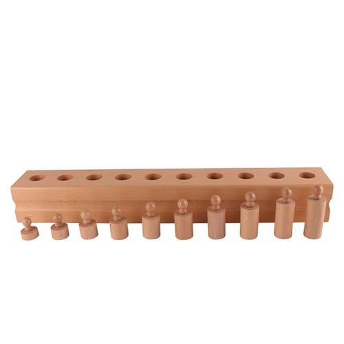 LLTCMYGS Montessori Zylinderfassung Sensorische Lehrmittel, Buche Holz zylindrische Bausteine,Cylinder Type c von LLTCMYGS
