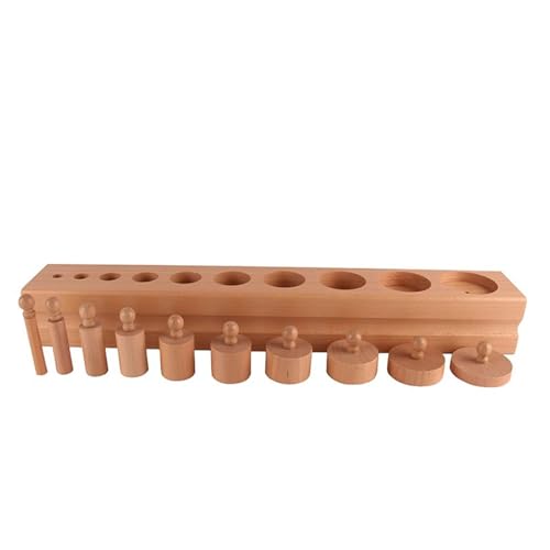 LLTCMYGS Montessori Zylinderfassung Sensorische Lehrmittel, Buche Holz zylindrische Bausteine,Cylinder Type d von LLTCMYGS