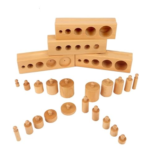 LLTCMYGS Montessori Zylindrische Steckdose aus Holz, Zylindrisches Feinmotoriktraining für Kinder (vierteiliges Set) von LLTCMYGS