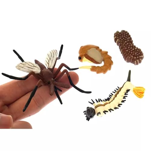 LLTCMYGS Moskito-Lebenszyklus-Modell, Montessori Mini-Insekten-Lebenszyklus-Statuenspielzeug, Geschenke für Kinder von LLTCMYGS