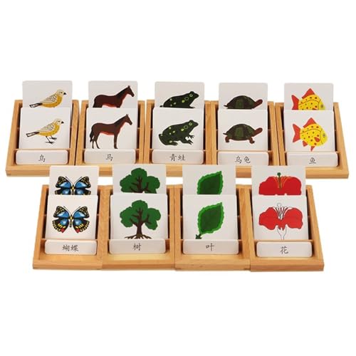 LLTCMYGS Neunteiliges Set von Tier- und Pflanzen-Kognitionskarten für Kinder, Montessori-Lehrmittel (ohne Kartenbox) von LLTCMYGS