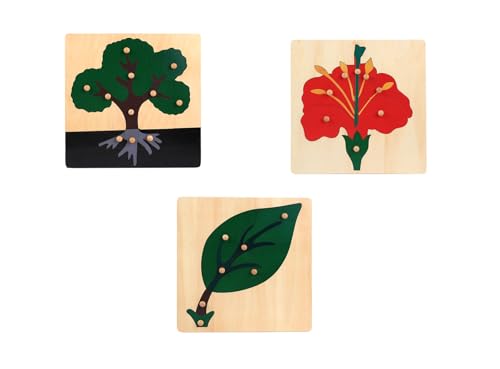 LLTCMYGS Pflanzenknopf Puzzle Set, Montessori Holz Pflanze Blume Puzzle (3 Teile) von LLTCMYGS