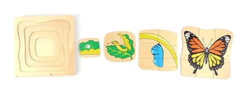 LLTCMYGS Schmetterling Wachstumszyklus Puzzle Lehre AIDS, Montessori Tier Mehrschicht-Puzzle Spielzeug von LLTCMYGS