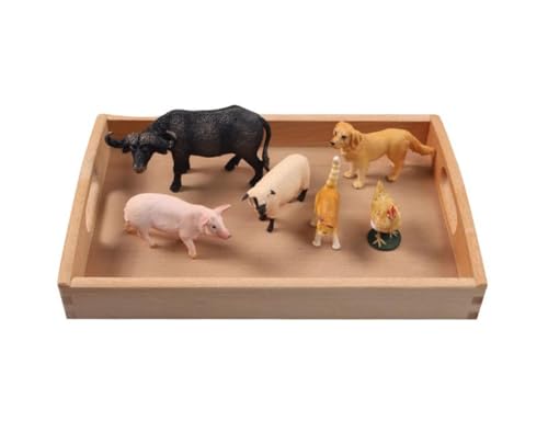 LLTCMYGS Simuliertes Tiermodell, Tablett-Set, Unterrichten von AIDS, Montessori-Spracharbeit LLTCMYGS Simuliertes Tiermodell, Tablett-Set, Unterrichten von AIDS, Montessori-Spracharbeit von LLTCMYGS