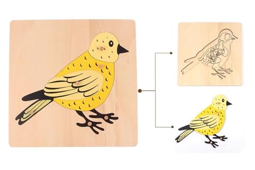 LLTCMYGS Tierpuzzles Aus Holz, Montessori Tierpuzzles Kinderspielzeug, Tiere Verstehen,Birds von LLTCMYGS