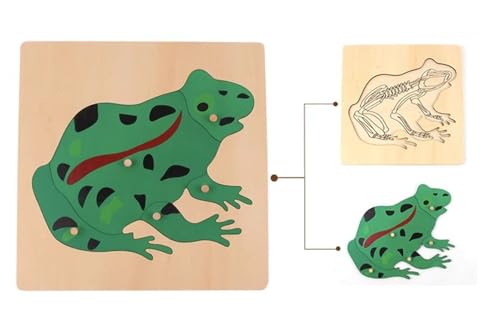 LLTCMYGS Tierpuzzles Aus Holz, Montessori Tierpuzzles Kinderspielzeug, Tiere Verstehen,Frogs von LLTCMYGS