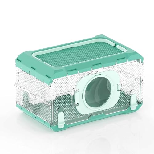 LLTCMYGS Transparente Insektenbeobachtungsbox, Sommer Outdoor Natürliche Insektenfang Requisite (ohne Gürtel),Cyan von LLTCMYGS