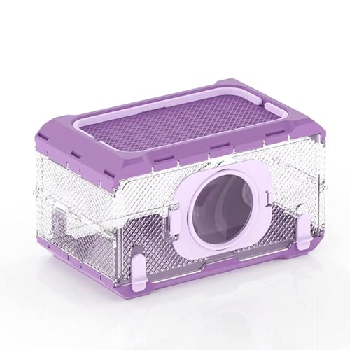 LLTCMYGS Transparente Insektenbeobachtungsbox, Sommer Outdoor Natürliche Insektenfang Requisite (ohne Gürtel),Lila von LLTCMYGS