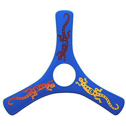 LMI and FOX Boomerang, Lmisrd LMI and FOX Boomerang, Lmisrd von LMI and FOX
