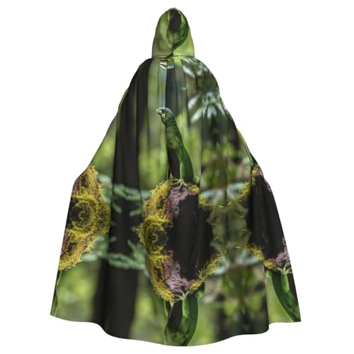 Green Lizard Unisex Mysterious Renaissance Hooded Robe Cloak Halloween Christmas Cosplay Costume Party Cape Adult Cloak Green Lizard Unisex Mysterious Renaissance Hooded Robe Cloak Halloween Christmas Cosplay Costume Party Cape Adult Cloak von LMNUDS