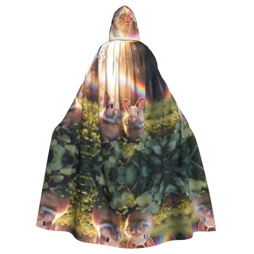 LMNUDS Rainbow Rabbit Unisex Mysterious Renaissance Hooded Robe Cloak Halloween Christmas Cosplay Costume Party Cape Adult Cloak LMNUDS Rainbow Rabbit Unisex Mysterious Renaissance Hooded Robe Cloak Halloween Christmas Cosplay Costume Party Cape Adult Cloak von LMNUDS