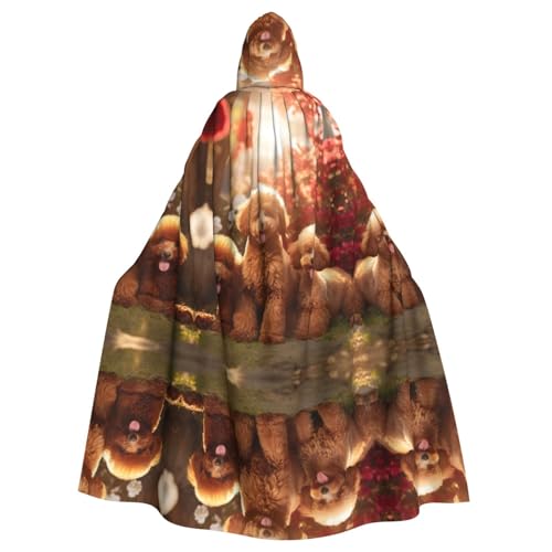 LMNUDS Umhang mit Kapuze für Erwachsene, Motiv: Pudel, Unisex, geheimnisvoller Renaissance-Umhang, Halloween, Weihnachten, Cosplay, Kostüm, Party, Umhang für Erwachsene LMNUDS Umhang mit Kapuze für Erwachsene, Motiv: Pudel, Unisex, geheimnisvoller Renaissance-Umhang, Halloween, Weihnachten, Cosplay, Kostüm, Party, Umhang für Erwachsene von LMNUDS