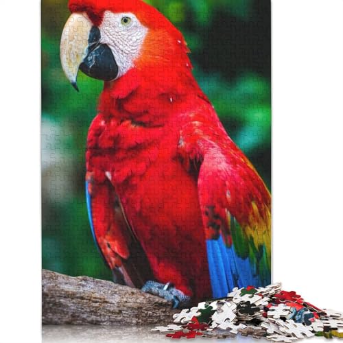 Puzzle mit rot-gelb-blauem Papagei, rechteckig, aus Pappe, als Geschenk für Kinder ab 12 Jahren, 1000 Teile (75 x 50 cm) von LMYmoney