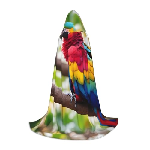 LNNIUK Fantastischer Parrot Feder 1 Druck Mittelalter Kapuzenumhang Halloween Renaissance Kostüm Wikinger Stil Ranger Uni Umhang von LNNIUK