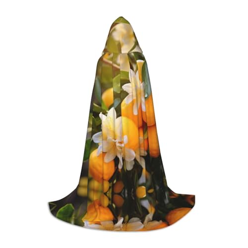 LNNIUK Mittelalterlicher Kapuzenumhang mit gelber Blüte und Orangenfrüchten, Halloween-Renaissance-Kostüm, Wikinger-Stil, Rangerumhang LNNIUK Mittelalterlicher Kapuzenumhang mit gelber Blüte und Orangenfrüchten, Halloween-Renaissance-Kostüm, Wikinger-Stil, Rangerumhang von LNNIUK