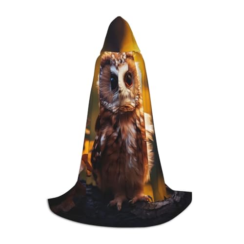 LNNIUK Mittelalterlicher Kapuzenumhang mit süßem Eulen-Druck, Halloween, Renaissance-Kostüm, Wikinger-Stil, Rangerumhang, Uni LNNIUK Mittelalterlicher Kapuzenumhang mit süßem Eulen-Druck, Halloween, Renaissance-Kostüm, Wikinger-Stil, Rangerumhang, Uni von LNNIUK