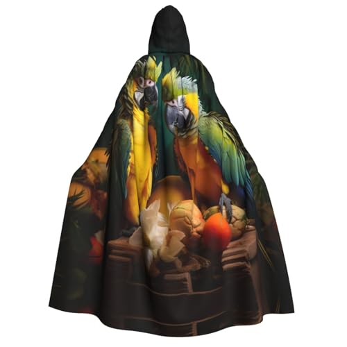 LNNIUK Sommer Papagei Druck Zauberer Kapuzenmantel Kapuzenumhang Umhang für Frauen Halloween Hexe Vampir Zauberer Rabe LNNIUK Sommer Papagei Druck Zauberer Kapuzenmantel Kapuzenumhang Umhang für Frauen Halloween Hexe Vampir Zauberer Rabe von LNNIUK