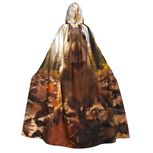 LNNIUK Zauberer-Kapuzenmantel mit Eichhörnchen-Druck, Umhang für Damen, Halloween, Hexe, Vampir, Zauberer, Rabe LNNIUK Zauberer-Kapuzenmantel mit Eichhörnchen-Druck, Umhang für Damen, Halloween, Hexe, Vampir, Zauberer, Rabe von LNNIUK